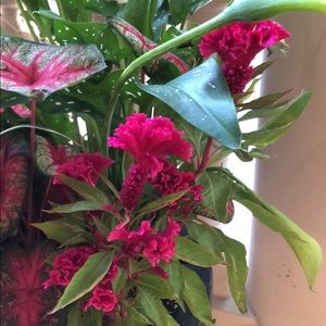 Meet your Posher, Christa